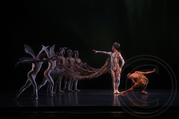 20160317_Midsummer_Nights_Dream_DR_Closeup_IMG_5650_crop