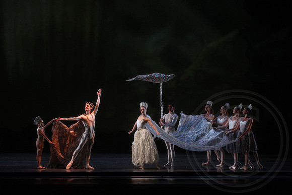 20160317_Midsummer_Nights_Dream_DR_Closeup_IMG_5723