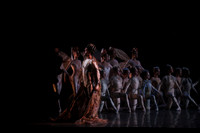 20160317_Midsummer_Nights_Dream_DR_Closeup_IMG_5676