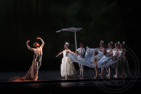 20160317_Midsummer_Nights_Dream_DR_Closeup_IMG_5708