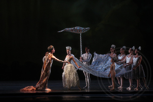 20160317_Midsummer_Nights_Dream_DR_Closeup_IMG_5734