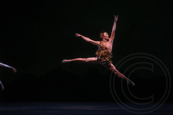 20160317_Midsummer_Nights_Dream_DR_Closeup_IMG_5519