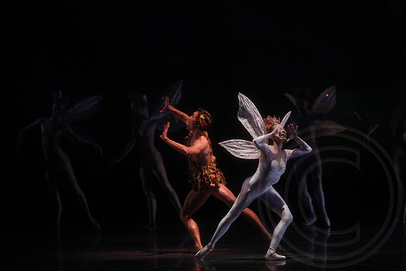 20160317_Midsummer_Nights_Dream_DR_Closeup_IMG_5588