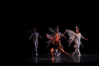 20160317_Midsummer_Nights_Dream_DR_Closeup_IMG_5527