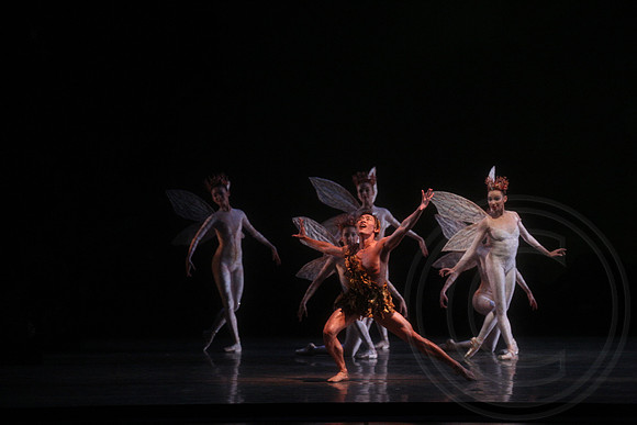 20160317_Midsummer_Nights_Dream_DR_Closeup_IMG_5527