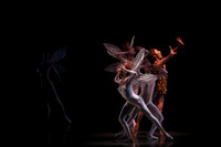 20160317_Midsummer_Nights_Dream_DR_Closeup_IMG_5599