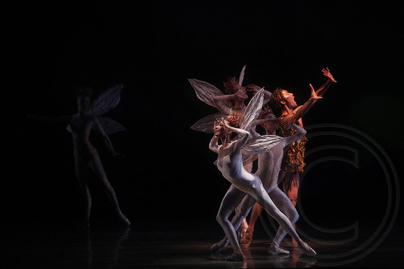 20160317_Midsummer_Nights_Dream_DR_Closeup_IMG_5599