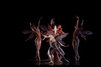 20160317_Midsummer_Nights_Dream_DR_Closeup_IMG_5610