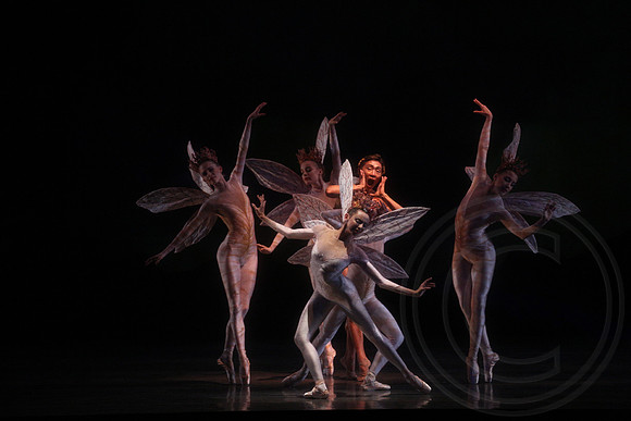 20160317_Midsummer_Nights_Dream_DR_Closeup_IMG_5610
