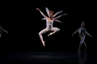 20160317_Midsummer_Nights_Dream_DR_Closeup_IMG_5444