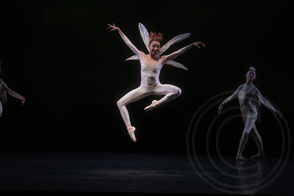 20160317_Midsummer_Nights_Dream_DR_Closeup_IMG_5444