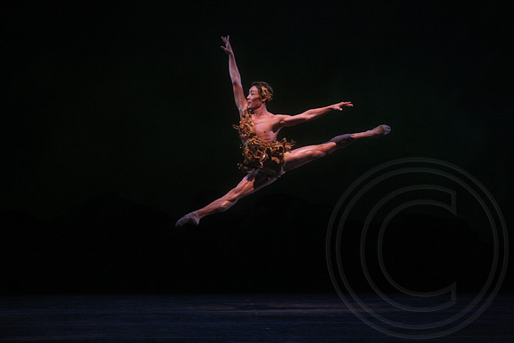 20160317_Midsummer_Nights_Dream_DR_Closeup_IMG_5517