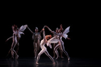 20160317_Midsummer_Nights_Dream_DR_Closeup_IMG_5496
