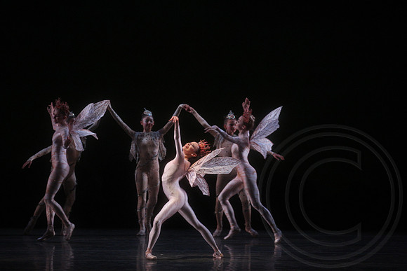 20160317_Midsummer_Nights_Dream_DR_Closeup_IMG_5496