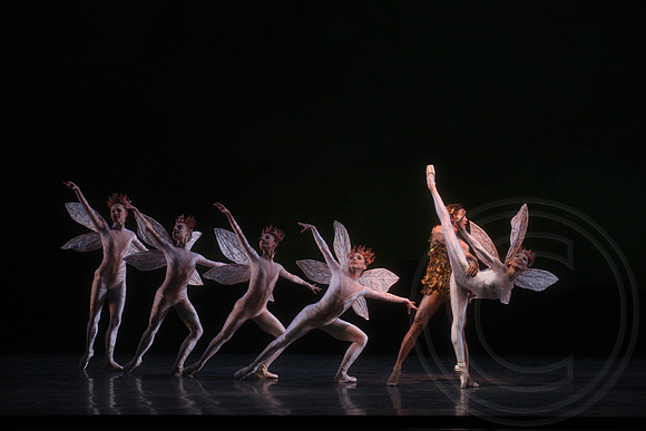 20160317_Midsummer_Nights_Dream_DR_Closeup_IMG_5554