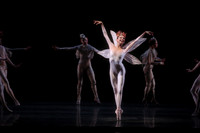 20160317_Midsummer_Nights_Dream_DR_Closeup_IMG_5451