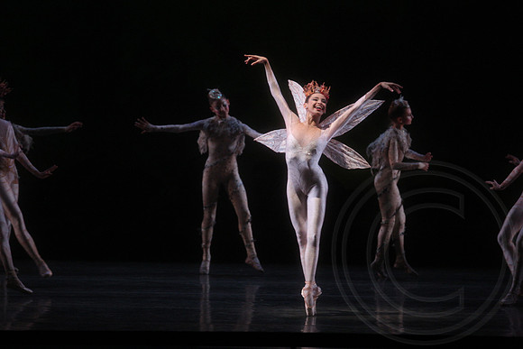 20160317_Midsummer_Nights_Dream_DR_Closeup_IMG_5451