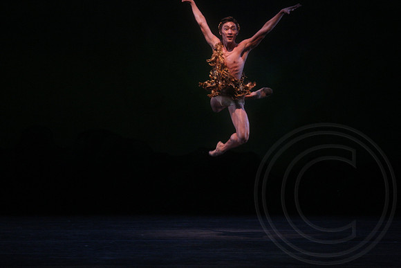 20160317_Midsummer_Nights_Dream_DR_Closeup_IMG_5510