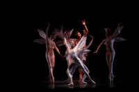 20160317_Midsummer_Nights_Dream_DR_Closeup_IMG_5614_crop
