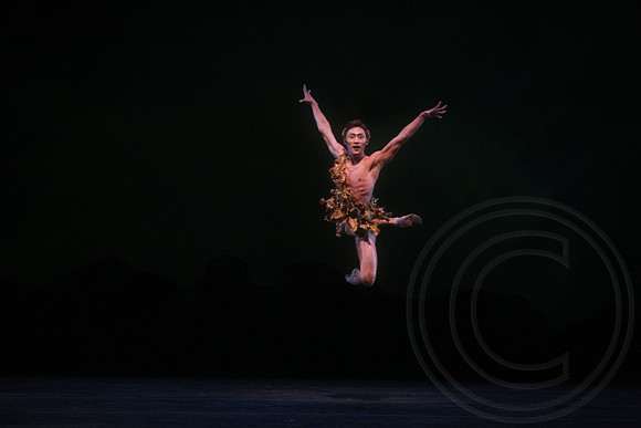 20160317_Midsummer_Nights_Dream_DR_Closeup_IMG_5515