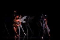 20160317_Midsummer_Nights_Dream_DR_Closeup_IMG_5570