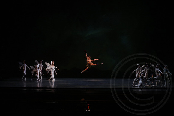 20160317_Midsummer_Nights_Dream_DR_Wide_75A4277