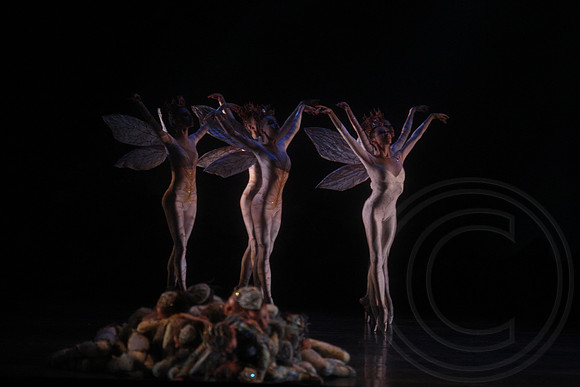 20160317_Midsummer_Nights_Dream_DR_Closeup_IMG_5943