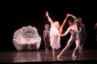 20160317_Midsummer_Nights_Dream_DR_Closeup_IMG_6281