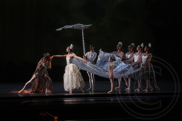20160317_Midsummer_Nights_Dream_DR_Closeup_IMG_5693