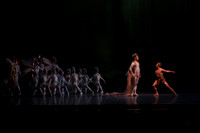 20160317_Midsummer_Nights_Dream_DR_Closeup_IMG_5664