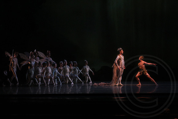 20160317_Midsummer_Nights_Dream_DR_Closeup_IMG_5664