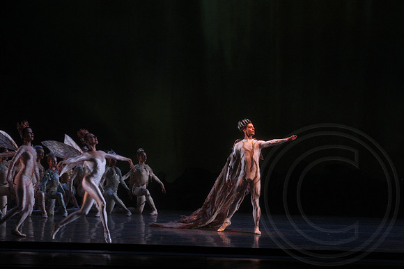 20160317_Midsummer_Nights_Dream_DR_Closeup_IMG_5741_crop