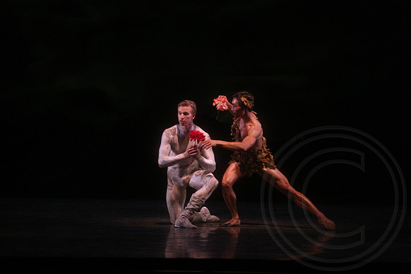 20160317_Midsummer_Nights_Dream_DR_Closeup_IMG_7359