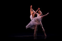 20160317_Midsummer_Nights_Dream_DR_Closeup_IMG_7275