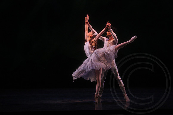 20160317_Midsummer_Nights_Dream_DR_Closeup_IMG_7275