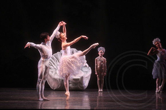 20160317_Midsummer_Nights_Dream_DR_Closeup_IMG_6249