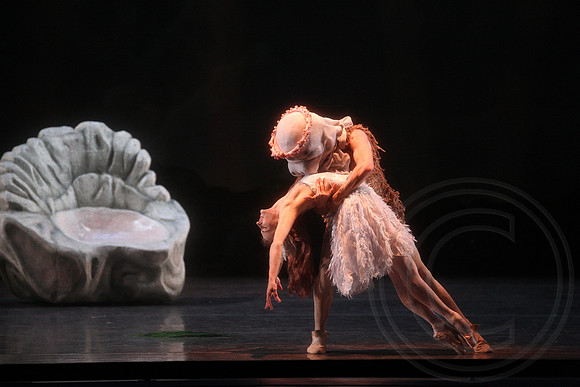 20160317_Midsummer_Nights_Dream_DR_Closeup_IMG_8387