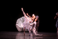 20160317_Midsummer_Nights_Dream_DR_Closeup_IMG_6259