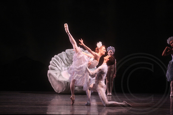 20160317_Midsummer_Nights_Dream_DR_Closeup_IMG_6259