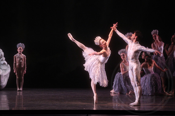 20160317_Midsummer_Nights_Dream_DR_Closeup_IMG_6407