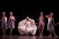 20160317_Midsummer_Nights_Dream_DR_Closeup_IMG_6038_CROP
