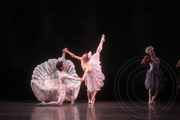 20160317_Midsummer_Nights_Dream_DR_Closeup_IMG_6273