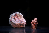 20160317_Midsummer_Nights_Dream_DR_Closeup_IMG_8247