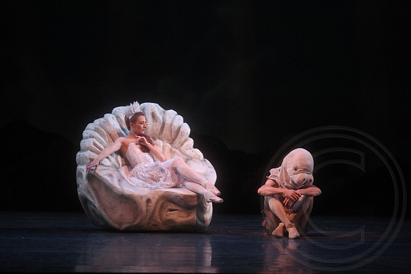 20160317_Midsummer_Nights_Dream_DR_Closeup_IMG_8247