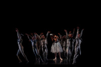 20160317_Midsummer_Nights_Dream_DR_Closeup_IMG_5906