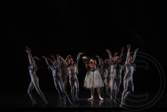 20160317_Midsummer_Nights_Dream_DR_Closeup_IMG_5906
