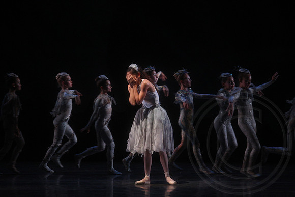 20160317_Midsummer_Nights_Dream_DR_Closeup_IMG_5893