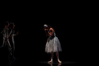 20160317_Midsummer_Nights_Dream_DR_Closeup_IMG_5900
