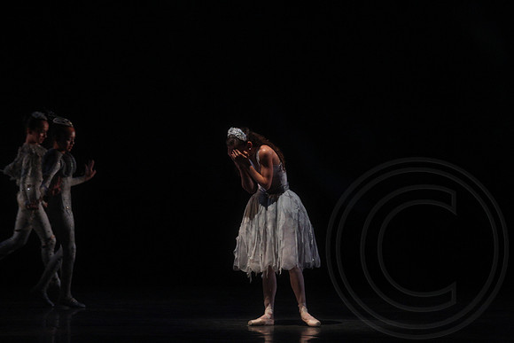 20160317_Midsummer_Nights_Dream_DR_Closeup_IMG_5900