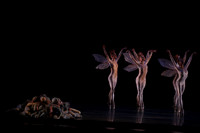 20160317_Midsummer_Nights_Dream_DR_Closeup_IMG_5956